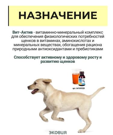 Vit-Active A complex of vitamins for puppies 5 l - Buy Online on GoSupps.com