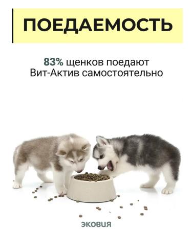 Vit-Active A complex of vitamins for puppies 5 l - Buy Online on GoSupps.com