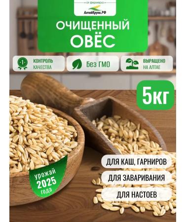 AltaiKrupaRF Oats for brewing purified 5 kg