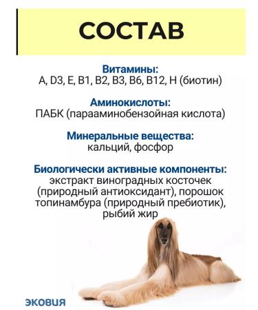 Vit-Active Complex of vitamins for dogs of wool health 2 - Buy Online on GoSupps.com