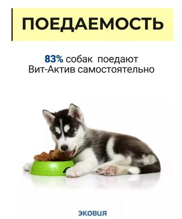 Vit-Active Complex of vitamins for dogs of wool health 2 - Buy Online on GoSupps.com