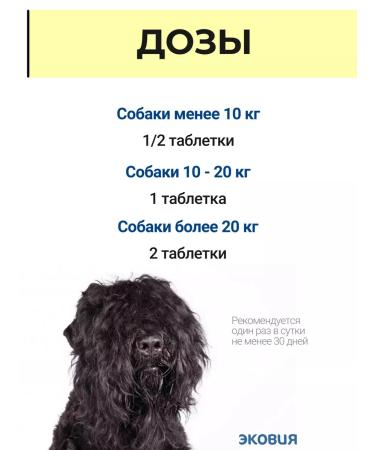 Vit-Active Complex of vitamins for dogs Health of wool 3 - Buy Online on GoSupps.com