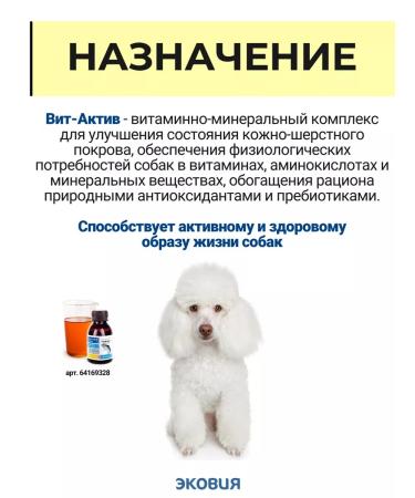 Vit-Active Complex of vitamins for dogs of wool health 10 - Buy Online on GoSupps.com