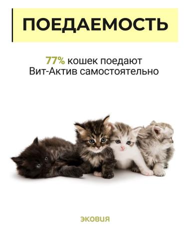 Vit-Active Brewer's yeast for cats and kittens 3 - Buy Online on GoSupps.com