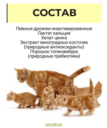 Vit-Active Brewery for cats and kittens 5 units - Buy Online on GoSupps.com