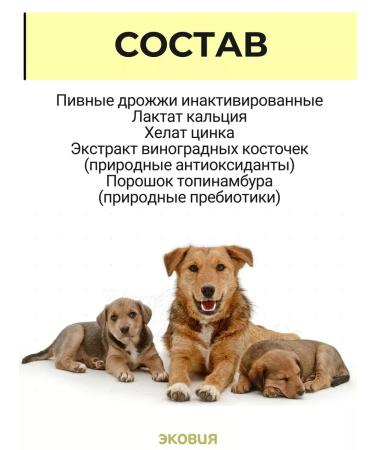 Vit-Active Brewery for dogs and puppies 3 - Buy Online on GoSupps.com