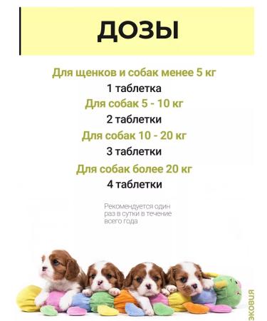 Vit-Active Brewery for dogs and puppies 3 - Buy Online on GoSupps.com