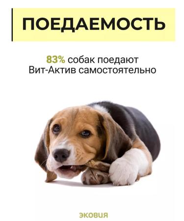 Vit-Active Brewery for dogs and puppies 3 - Buy Online on GoSupps.com