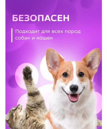 Show Tech Animal shampoo concentrate 5 liters - Buy Online on GoSupps.com