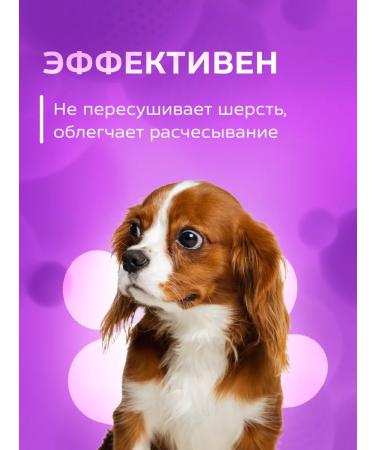 Show Tech Animal shampoo concentrate 5 liters - Buy Online on GoSupps.com