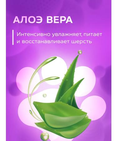 Show Tech Animal shampoo concentrate 5 liters - Buy Online on GoSupps.com