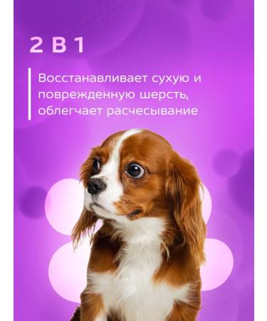 Show Tech Shampoo Conditioner for dogs 5 liters - Buy Online on GoSupps.com