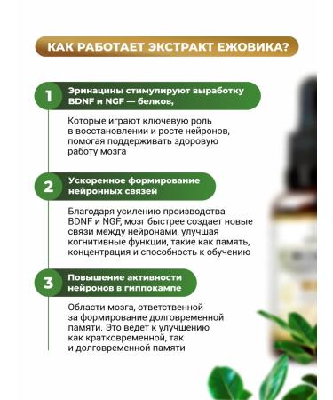 MushroomNik Liquid extract Ezhovik Chanceta 30 ml Lions Mane - Buy Online on GoSupps.com