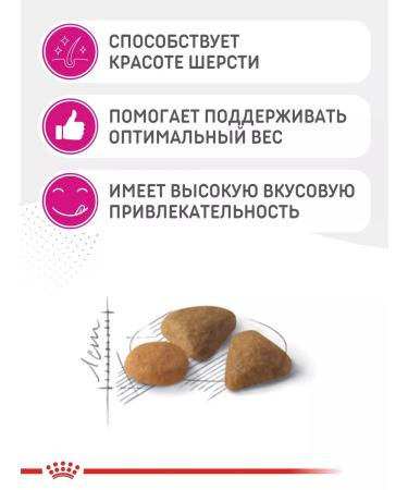 ROYAL CANIN Cat food dry Savour Exigent 2kg - Buy Online on GoSupps.com