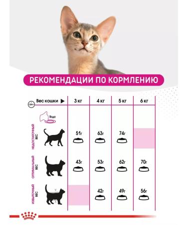 ROYAL CANIN Cat food dry Savour Exigent 2kg - Buy Online on GoSupps.com