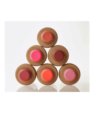 Cream blush in Pocket Blush Toasted Teddy - Buy Online on GoSupps.com
