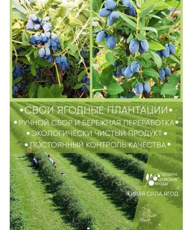 Shuya berries Natural lemonade with honeysuckle juice 4 pcs 330 ml - Buy Online on GoSupps.com