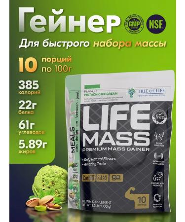 Tree of Life MASS Gainer 1000g pistachio ice cream