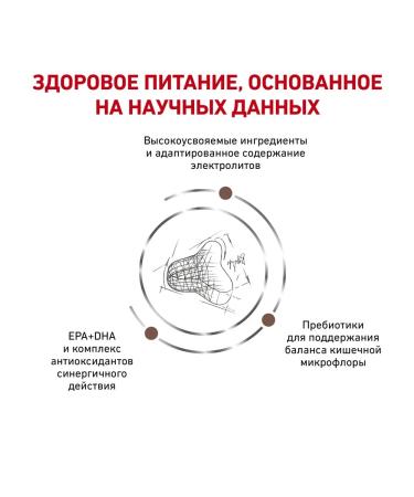 ROYAL CANIN Gastro Fibre dry cat food 2.0kg - Buy Online on GoSupps.com