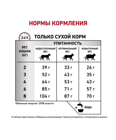 ROYAL CANIN Gastro Fibre dry cat food 2.0kg - Buy Online on GoSupps.com