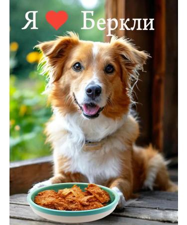 Berkley Berkeley canned food for dogs and puppies beef-rice 200g*4pcs - Buy Online on GoSupps.com