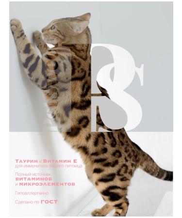 PetSweet Useful cream lacquish for cats - Buy Online on GoSupps.com