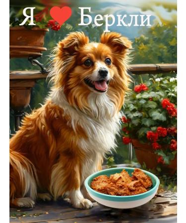 Berkley Berkeley canned food for dogs and puppies of a 4pcs*200g rabbit - Buy Online on GoSupps.com