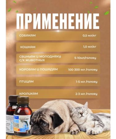 PHARMAX Additive fish oil for dogs and cats 100 ml - Buy Online on GoSupps.com