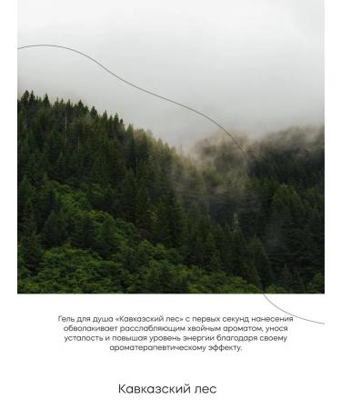 KRASNOPOLYANSKAYA COSMETICS Shower gel "Caucasian forest" 250 ml - Buy Online on GoSupps.com