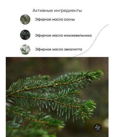 KRASNOPOLYANSKAYA COSMETICS Shower gel "Caucasian forest" 250 ml - Buy Online on GoSupps.com