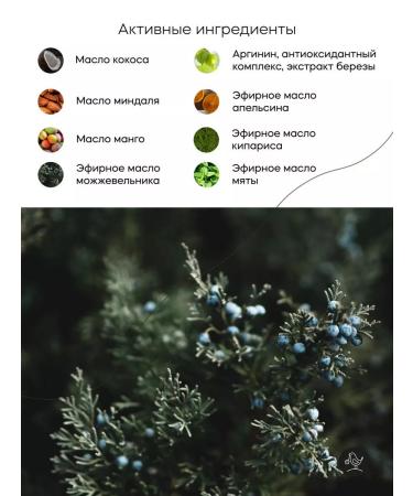 KRASNOPOLYANSKAYA COSMETICS Cream - Batter for the Caucasian Forest 150 ml - Buy Online on GoSupps.com