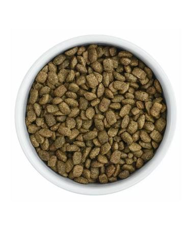 Florida Gastrointestinal dry food for cats for gastrointestinal tract 1.5 kg - Buy Online on GoSupps.com