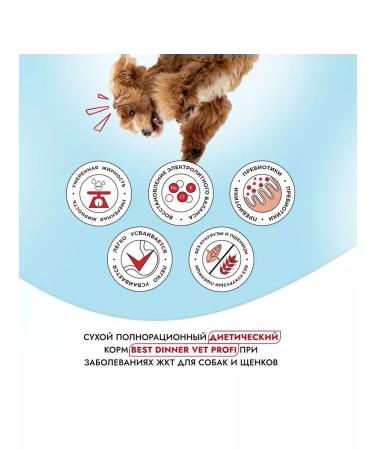 Best dinner Vet Profi dog food with digestive disorders 2 kg - Buy Online on GoSupps.com