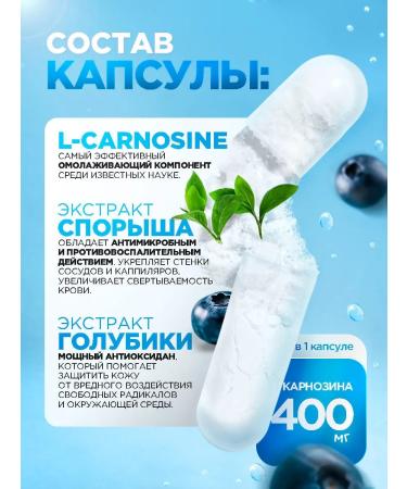 Scopula 1. Carnosine for youth and energy 2. Carnosine production - Buy Online on GoSupps.com