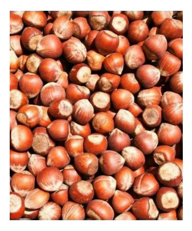 Gelhen Raw hay pounds in a shell 1 kg - Buy Online on GoSupps.com