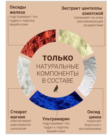 SATIVA Facial powder mineral tonal base 7.03 Beige Sand - Buy Online on GoSupps.com