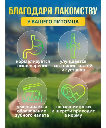 VYALNITSA Lips and noses beef treats for dogs sublimated - Buy Online on GoSupps.com