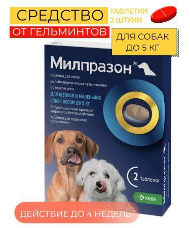 KRKA Milprazon Antigelmintic for small dogs and puppies