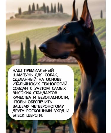 Karezo Shampoo for dogs and cats cleansing 5l - Buy Online on GoSupps.com