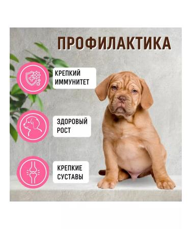 Grandorf Dry food for puppies lamb and turkey 3 kg - Buy Online on GoSupps.com