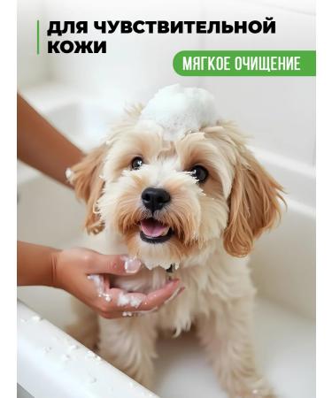 Spets Shampoo foam for dogs cats with chlorhexidine 200 ml - Buy Online on GoSupps.com