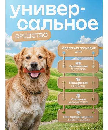 Pat Buffet Aorta beef dried treat for dogs 100g - Buy Online on GoSupps.com