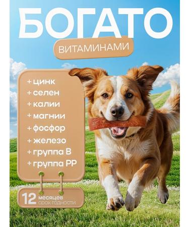 Pat Buffet Beef aorta dried treat for dogs 500g - Buy Online on GoSupps.com