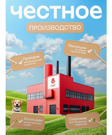 Pat Buffet Beef aorta dried treat for dogs 500g - Buy Online on GoSupps.com