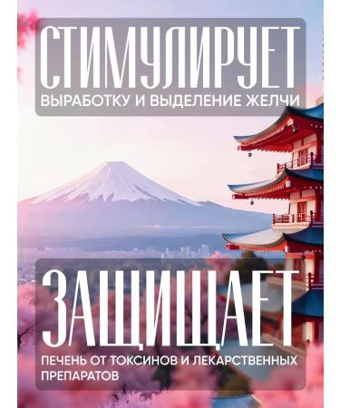 Huang for the liver Hepatoprotector "Complex for the liver Hugan Pian" - Buy Online on GoSupps.com