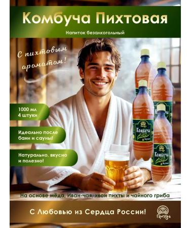 Promyod Combuchee Fir Live Tea Mushroom Set 4 pcs 1 liter - Buy Online on GoSupps.com