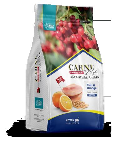 CARNI LIFE Dry food for kittens trout - Buy Online on GoSupps.com