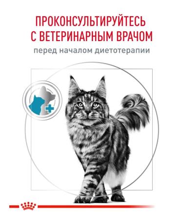 ROYAL CANIN Hypoallergenic 350g food allergies food - Buy Online on GoSupps.com