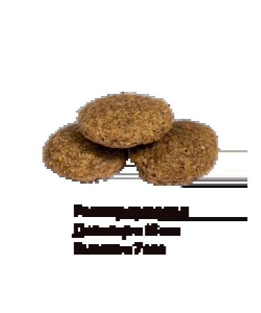 Hanta Set 1+1 Dry food for dogs Hunt 3 kg*2pcs - Buy Online on GoSupps.com