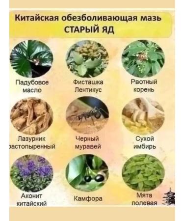 Ellie Cas An ointment of anesthetic anti -inflammatory for joints - Buy Online on GoSupps.com